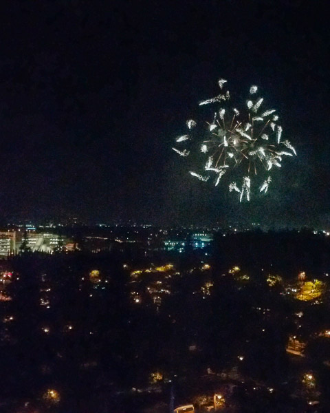 Fireworks from the Disneyland hotel